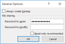 Excel file open password