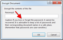 Encrypt document in Excel